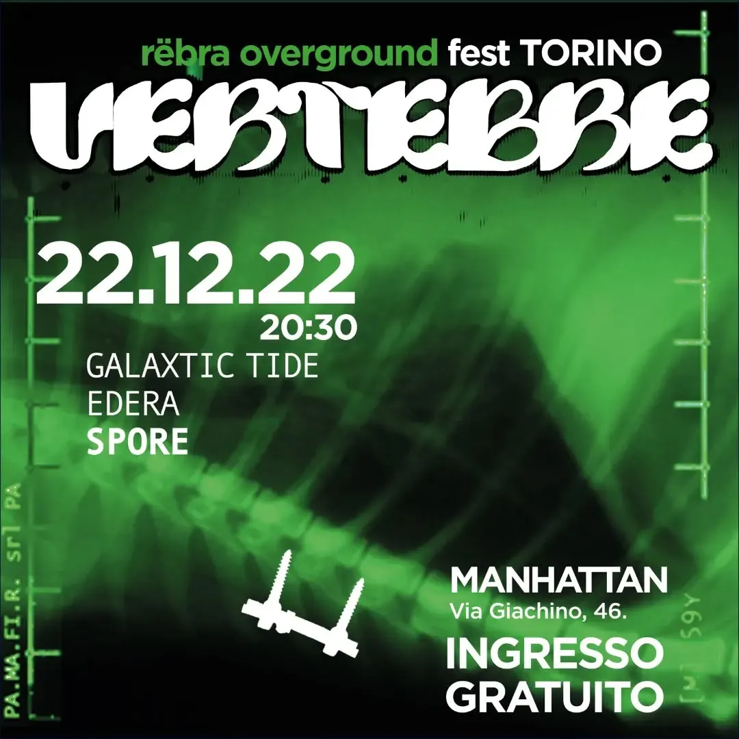 Vertebre Anno I — Giorno 4